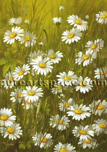 Daisy flower oil painting