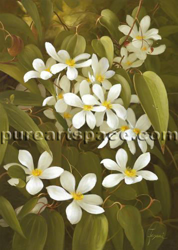 White flower oil painting
