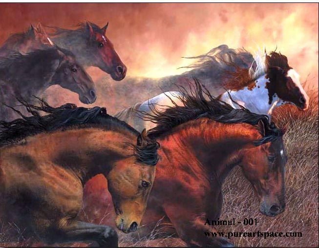 Horse oil paintings